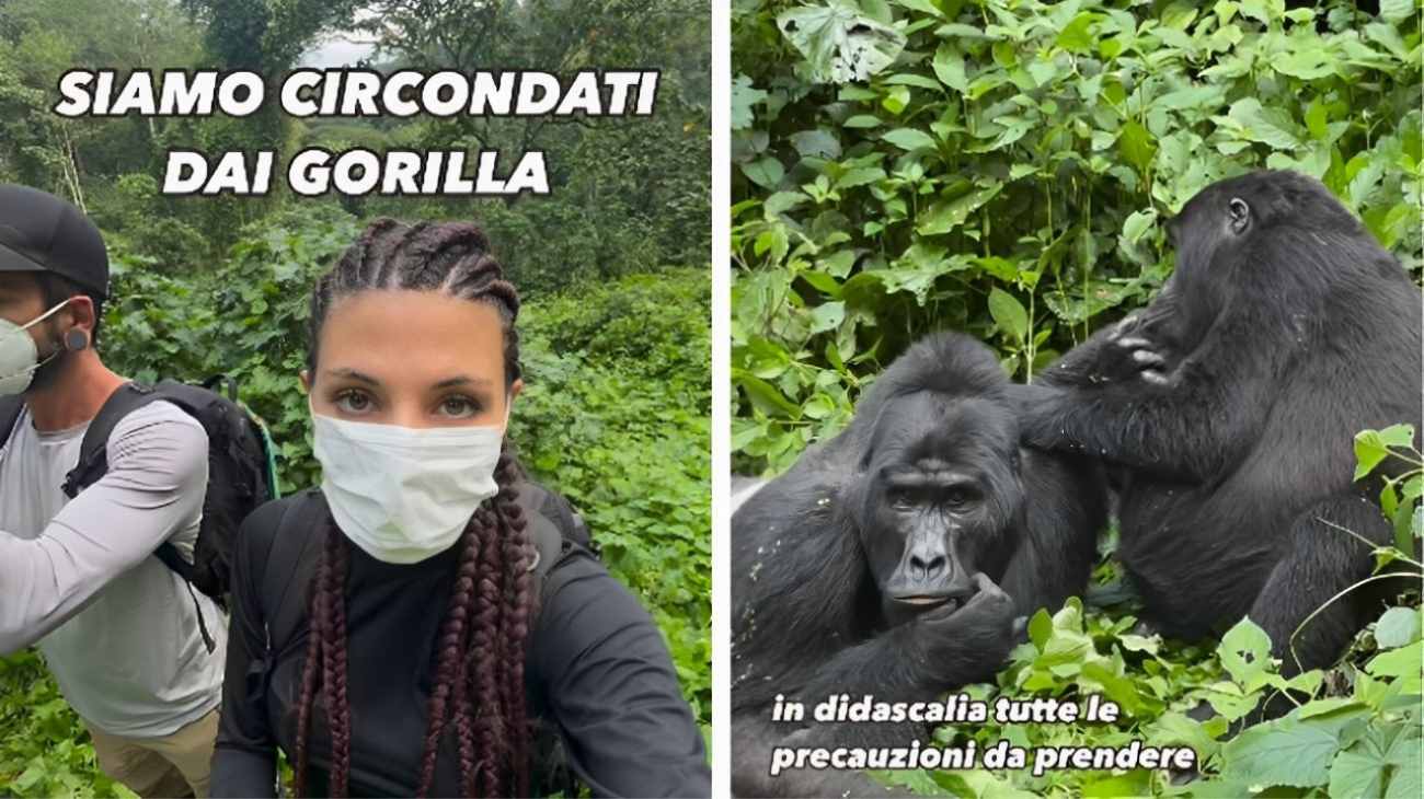 Trekking con i gorilla