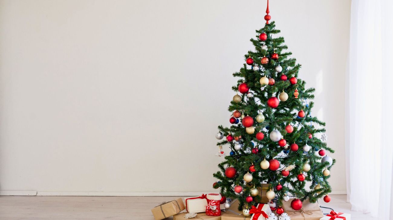 Albero di Natale a novembre? La scelta di una donna, che la consiglia a chiunque